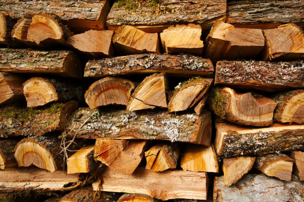 Elm firewood